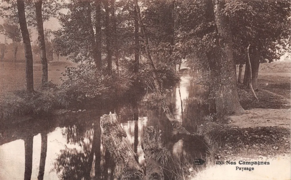 Landschaft — Fluss, umgeben von Bäumen mit schwimmenden Stämmen — Nos Campagnes, n°450 - Vorderseite
