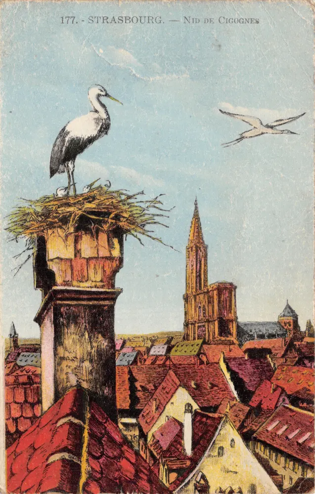 Straßburg — Storchennest — Editions de la Cigogne, n°177 - Vorderseite