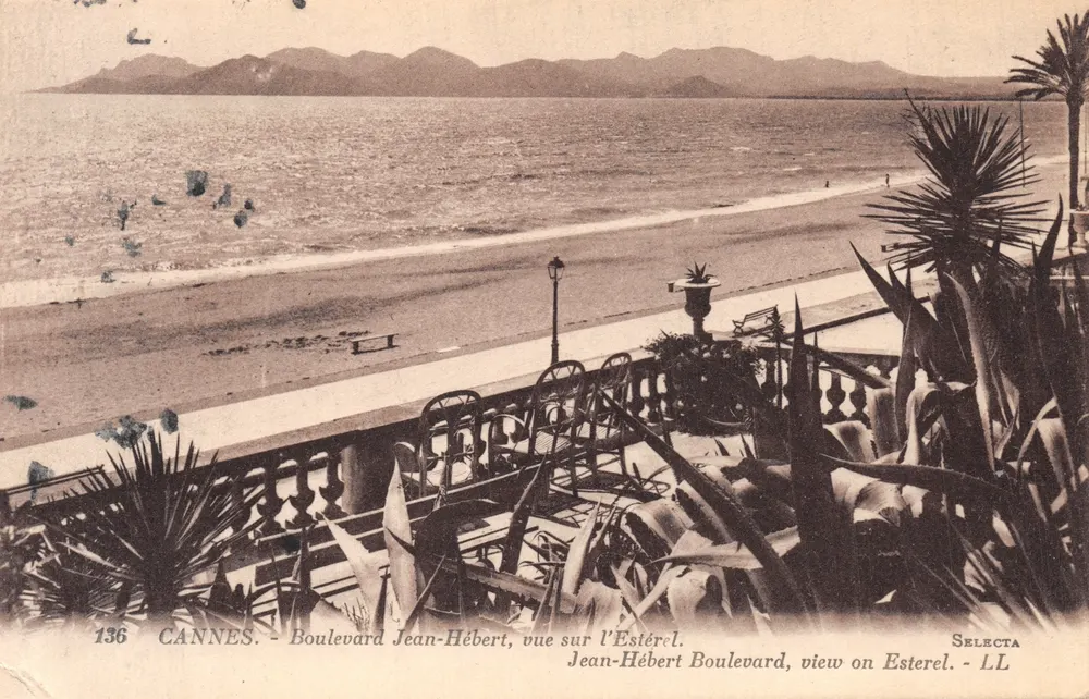 Cannes - Boulevard Jean-Hébert, Ansicht des Estérel — Verlag SELECTA, Nr. 136 - Vorderseite