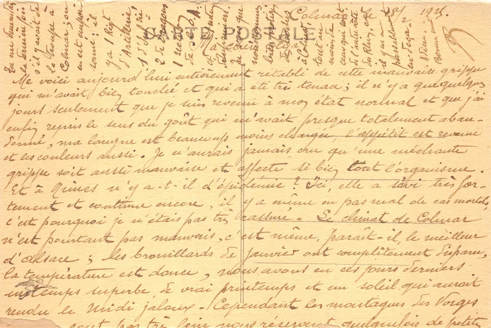 Colmar — Ansicht der St-Martin-Kathedrale — Verlag gedruckt auf der Karte, Nr. 8 - Rückseite