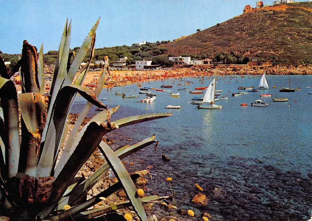 Cala Montgó — Strand und Segelboote — PELAYO, N° GE 3016 - Vorderseite