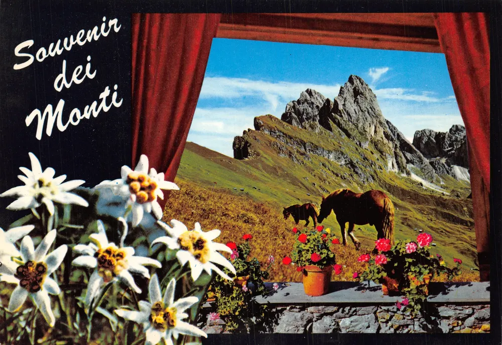 Bergblick — alpineisches Landschaftsbild mit Pferden — Verlag Rotalcolor - Vorderseite