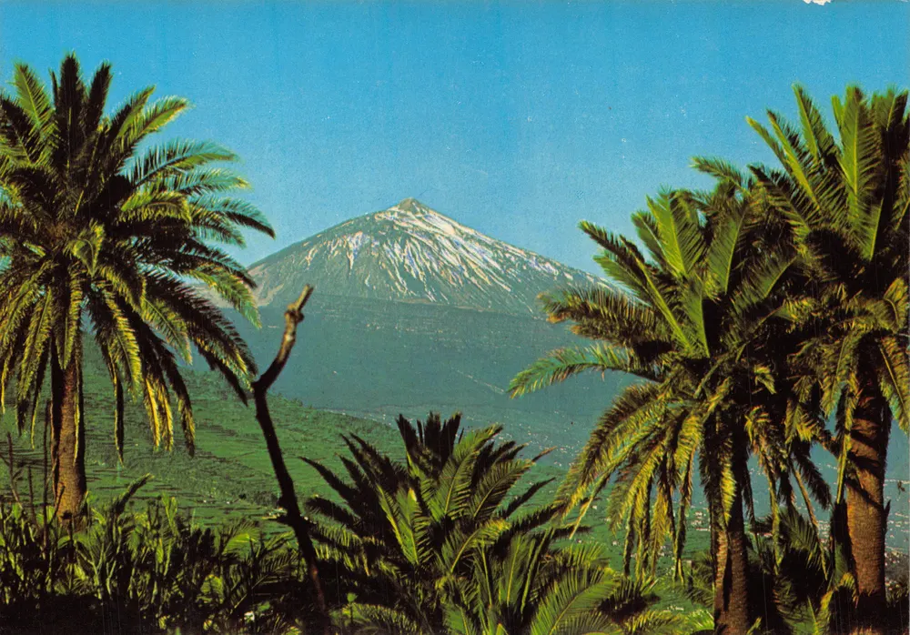 Teide — schneebedeckter Berg zwischen Palmen gesehen — Verlag EURIMPEx, Nr. TE 147 - Vorderseite