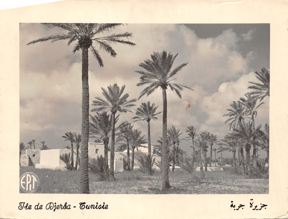 Insel Djerba - Tunesien — Landschaft mit Palmen und weißen Gebäuden — Verlag EPT - Vorderseite