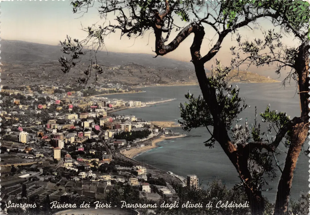 Sanremo - Riviera der Blumen - Panorama von den Olivenhainen von Coldirodi - Vorderseite