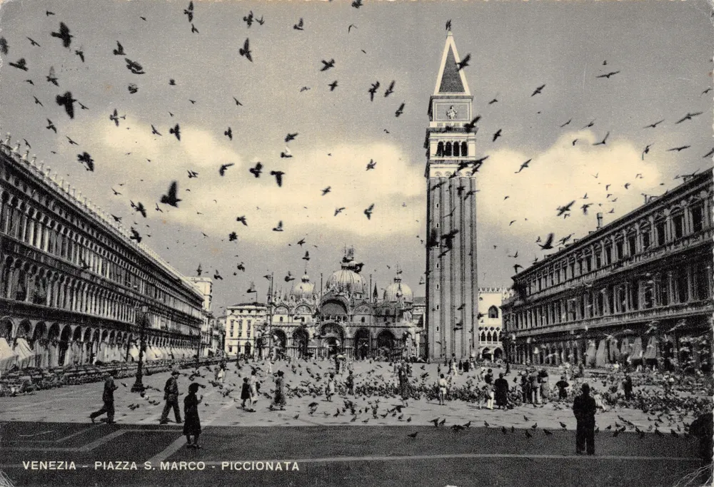 Venedig – Piazza S. Marco – Piccionata — Ansicht mit Tauben und Glockenturm - Vorderseite