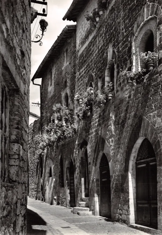 Assisi — rue Perlici — éditeur D.A.C.A. n°25329 - आगे