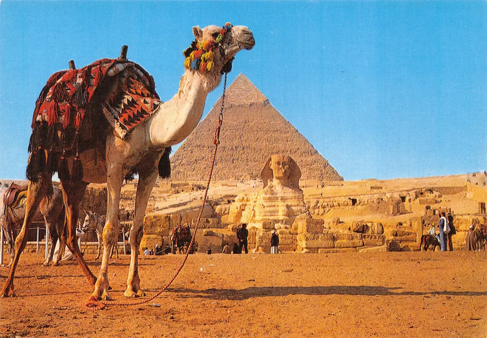 Giza - Der Sphinx und die Pyramide von Khephren — Verlag Dar Al-Tajweed, Serie ٥٠٥٣ - Vorderseite