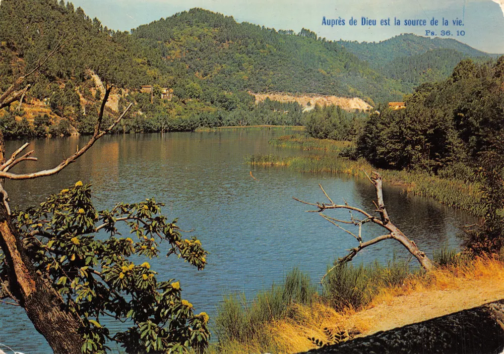 See Camboux — Seenachricht mit Wald und Hügeln — Éditions Magentho, Lyon - Vorderseite