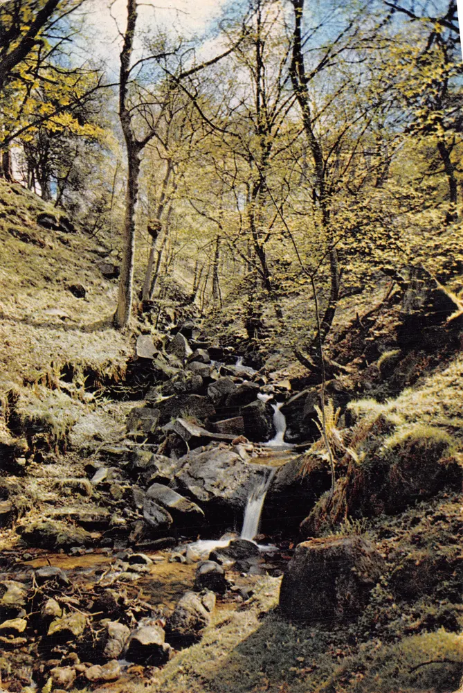 Heber's Ghyll — ravine arborisé avec cascades — J. Arthur Dixon - Recto