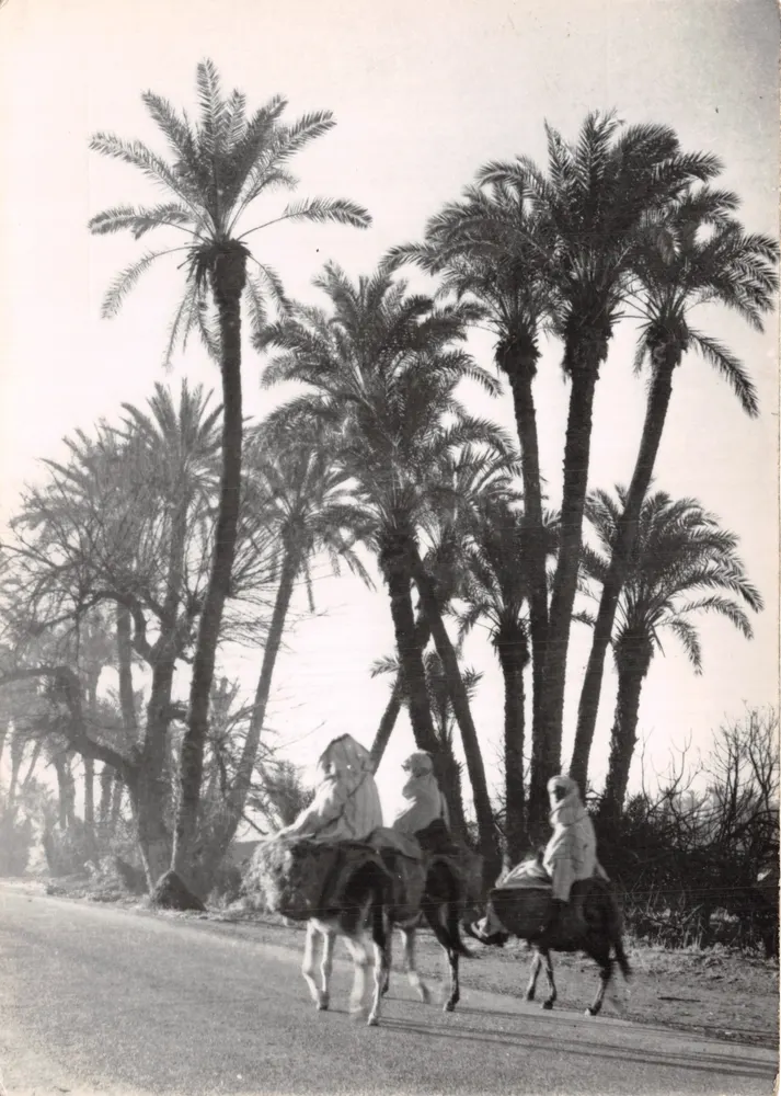Drei Bauern zu Pferde — Palmenhain von Marrakech — Verlag Bernard Rouget, Casablanca - Vorderseite