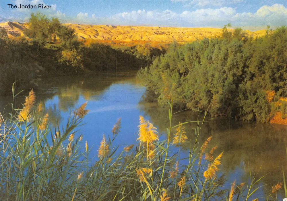 Der Jordan — Ansicht des Flusses mit Schilf — gedruckt von PALPHOT, Nr. 4313 - Vorderseite