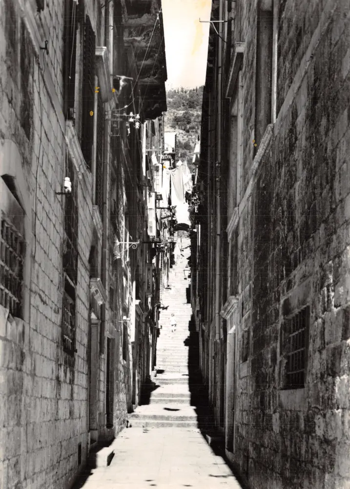 Dubrovnik — Rue Boškovićeva — éditeur Duhani M. Mićanović - Recto