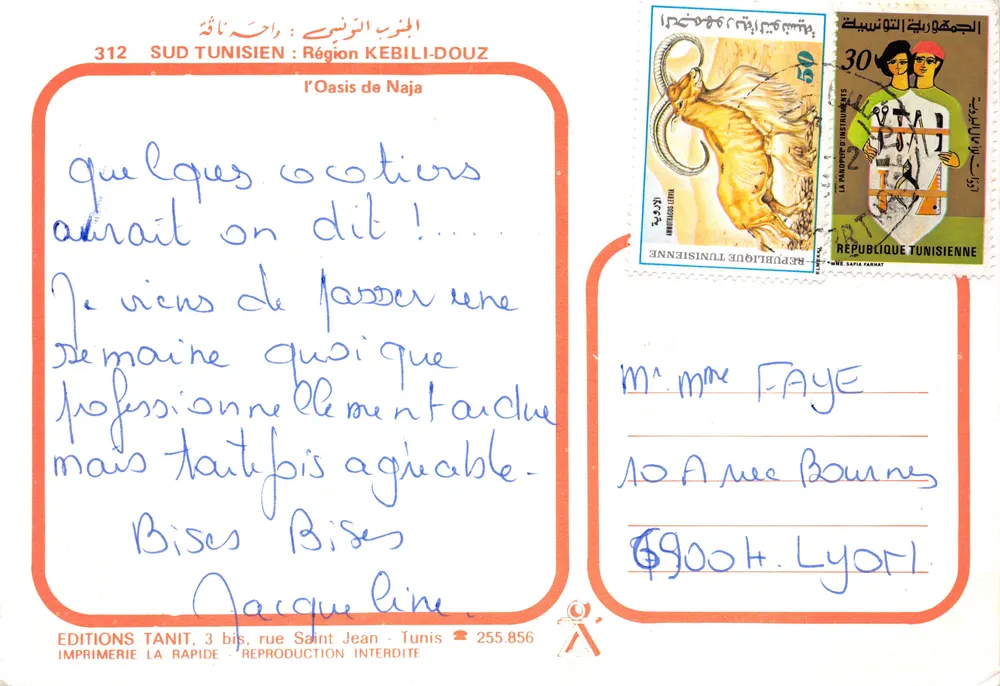 Oasis de Naja — Région Kebili-Douz — Éditions Tanit - Verso