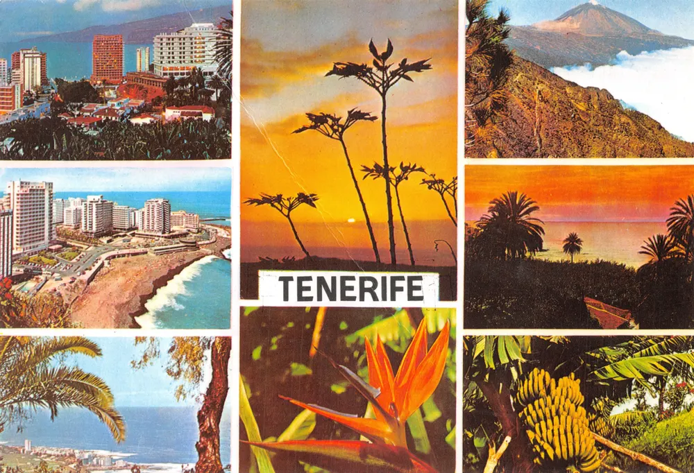 Tenerife — paysages et fleurs — Éditions Gasteiz - Recto