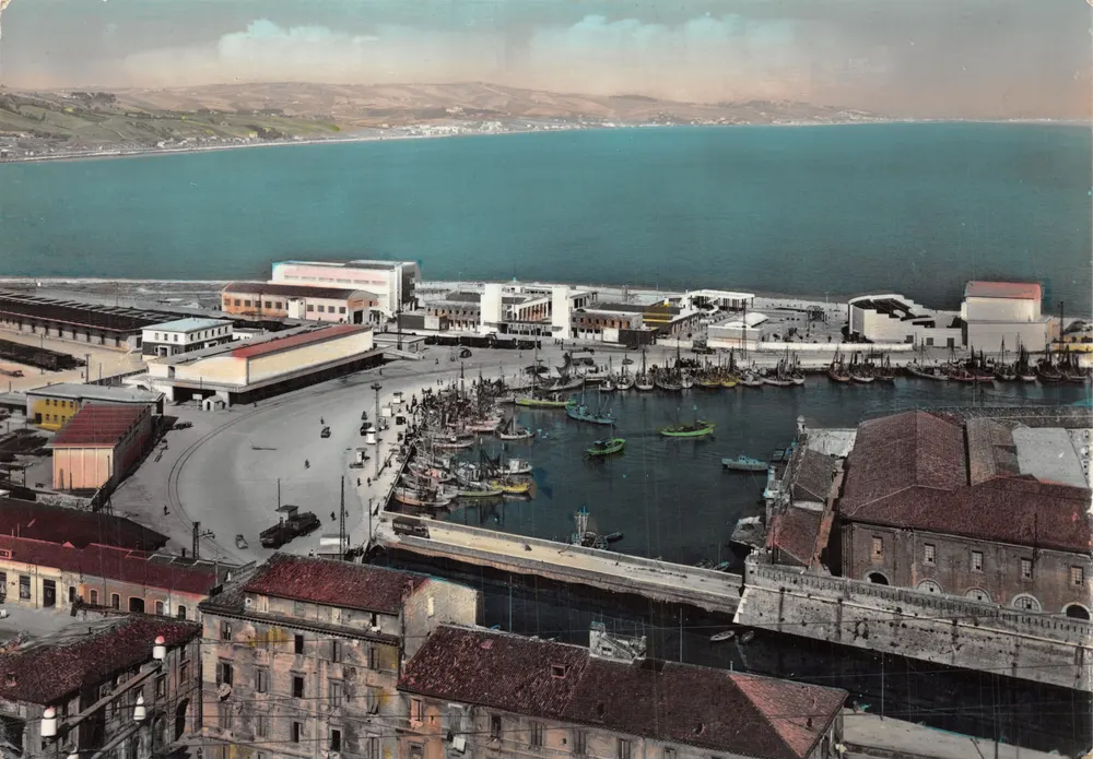 Ancona — Fiera della Pesca — Éditeur ALTEROCCA TERNI, n° 41793 - Recto