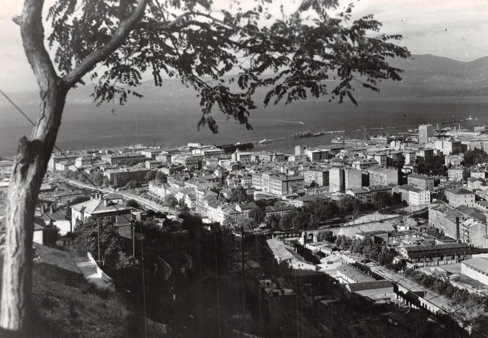 Panoramablick auf Rijeka — Verlag D. Griesbach, Nr. 13022 - Vorderseite