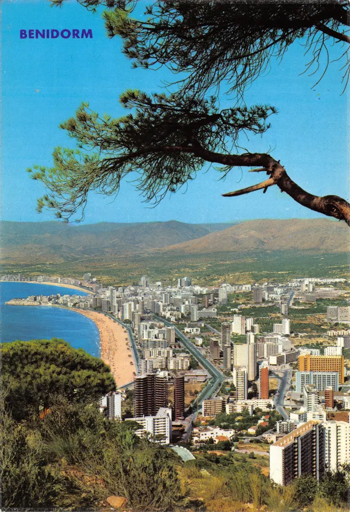Benidorm — Panoramablick von einer Kiefer — Verlag Hermosos Gallina - Vorderseite