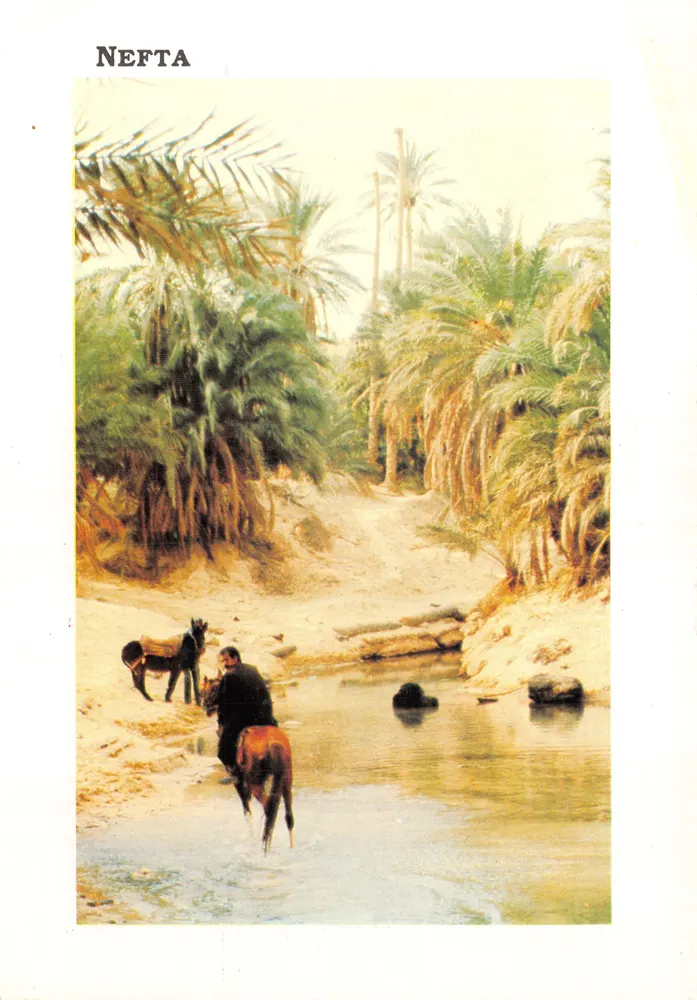 Nefta — Oasis am Rand eines Gewässers — Prestige der Ifriquia - Vorderseite