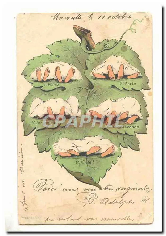 Piano, Forte, Crescendo, Diminuendo, Finale — Musique sur feuilles de vigne — Marseille - Frente