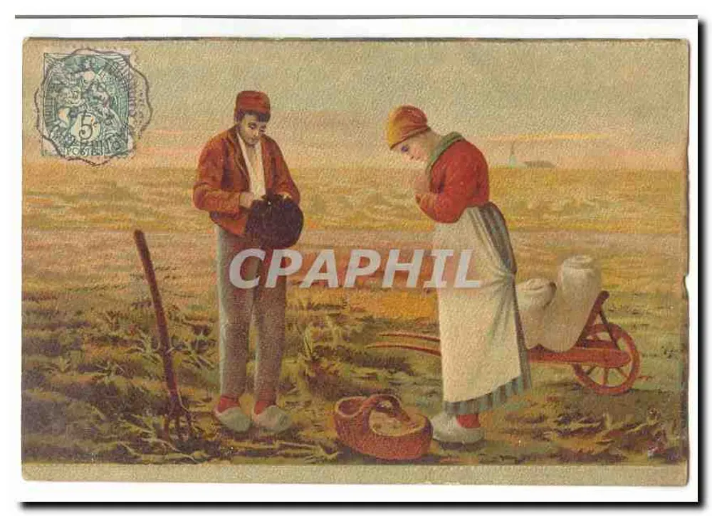 Cena de campo — trabalho agrícola — editor não visível - Frente
