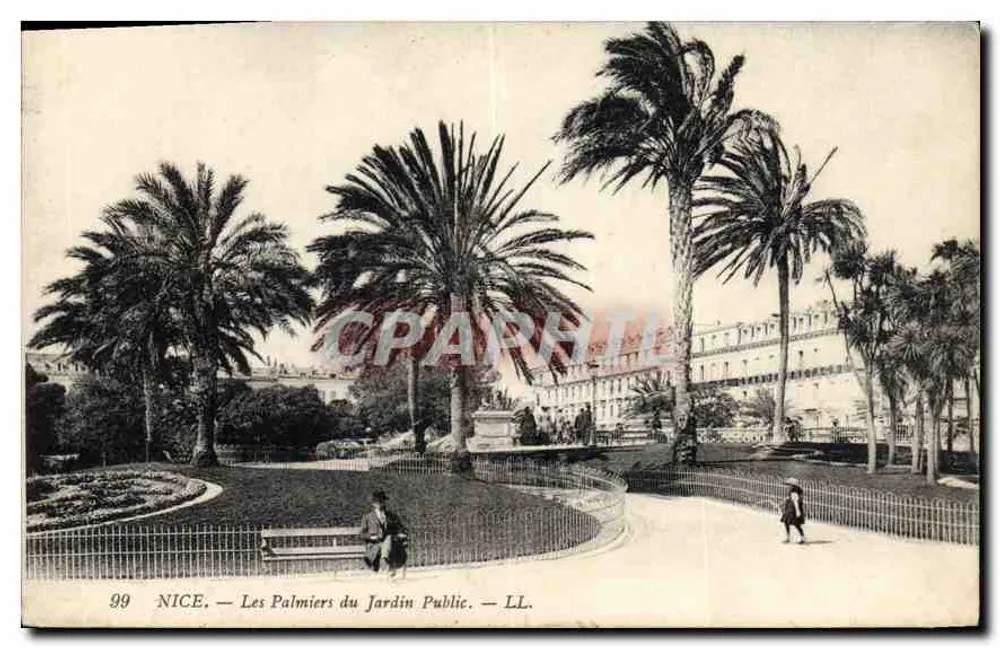 Nizza — I Palme del Giardino Pubblico — LL. n° 99 - Recto