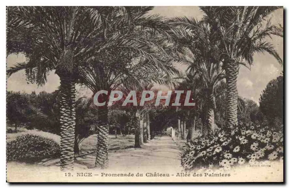 Nice — Promenade du Château — Allée des Palmiers — Éditions de Milette, n°12 - Vorderseite
