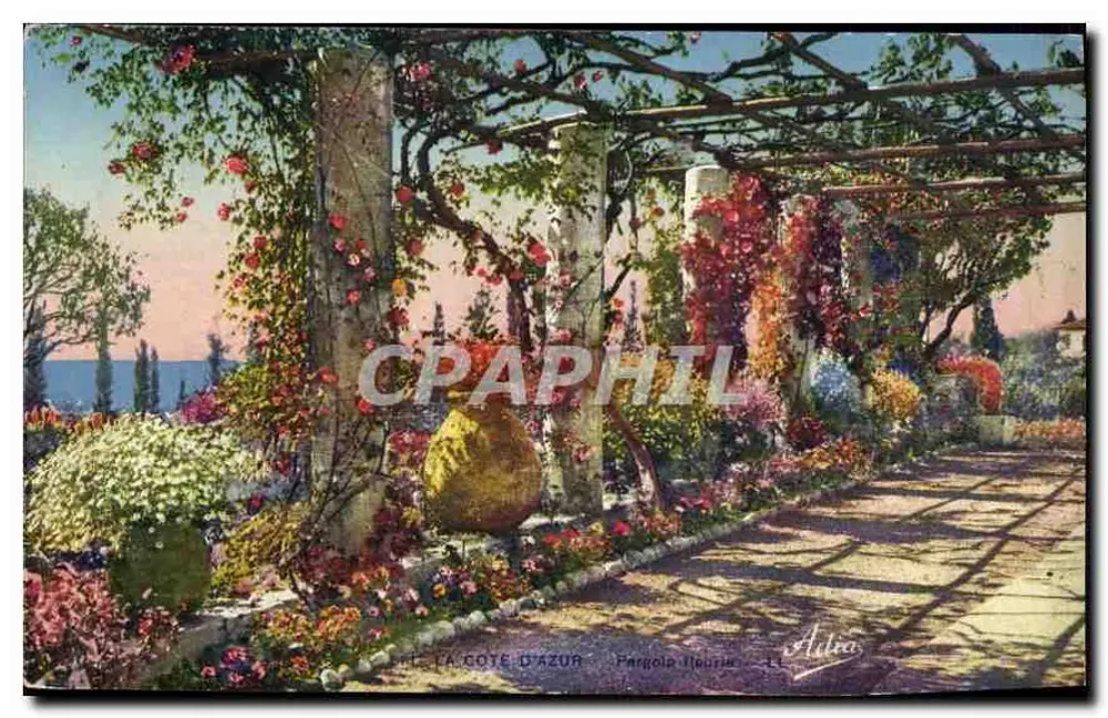 Pergola florida — Aïtira — Les Belles Éditions Franchet, Nice - Frente