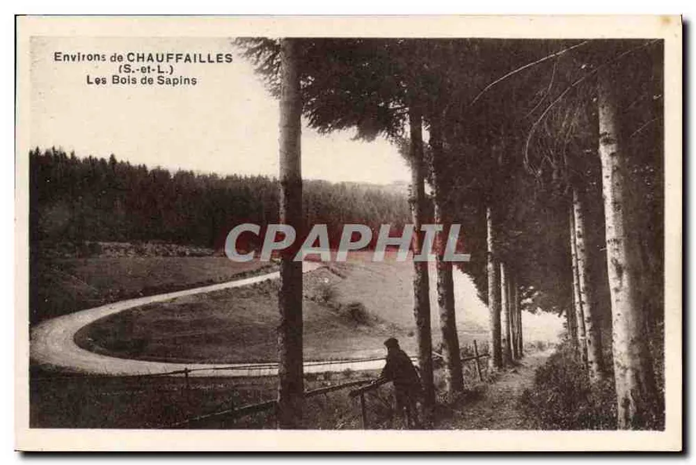 Umgebung von Chauffailles — Die Kiefernwälder — S.-et-L. - Vorderseite