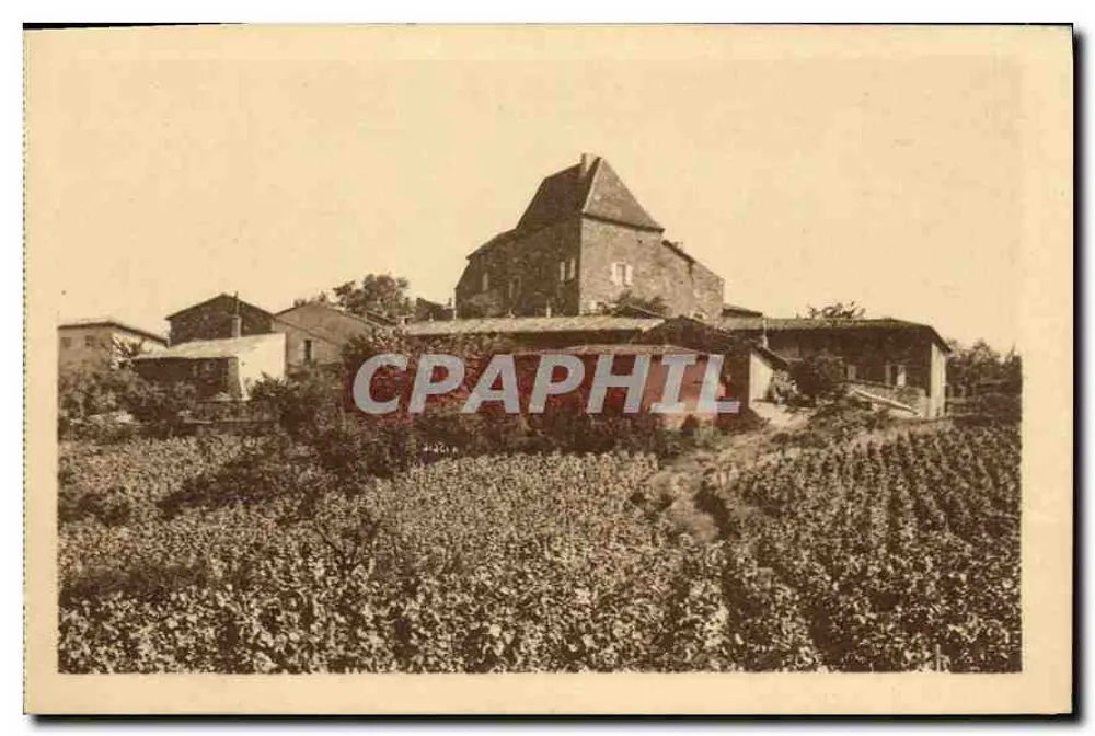 Leynes — Schloss und Weinberge — Imprimerie de Hulin-sur-Saône - Vorderseite