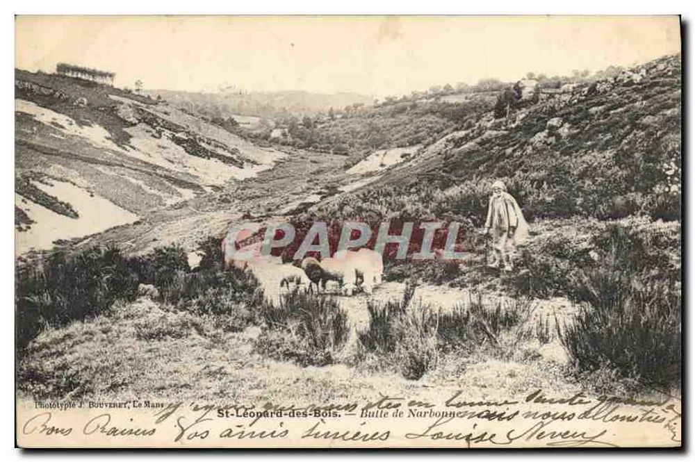 St-Léopard-des-Bois — Butte de Narbonne — Phototypie J. Bouvenez, Le Mans - Vorderseite