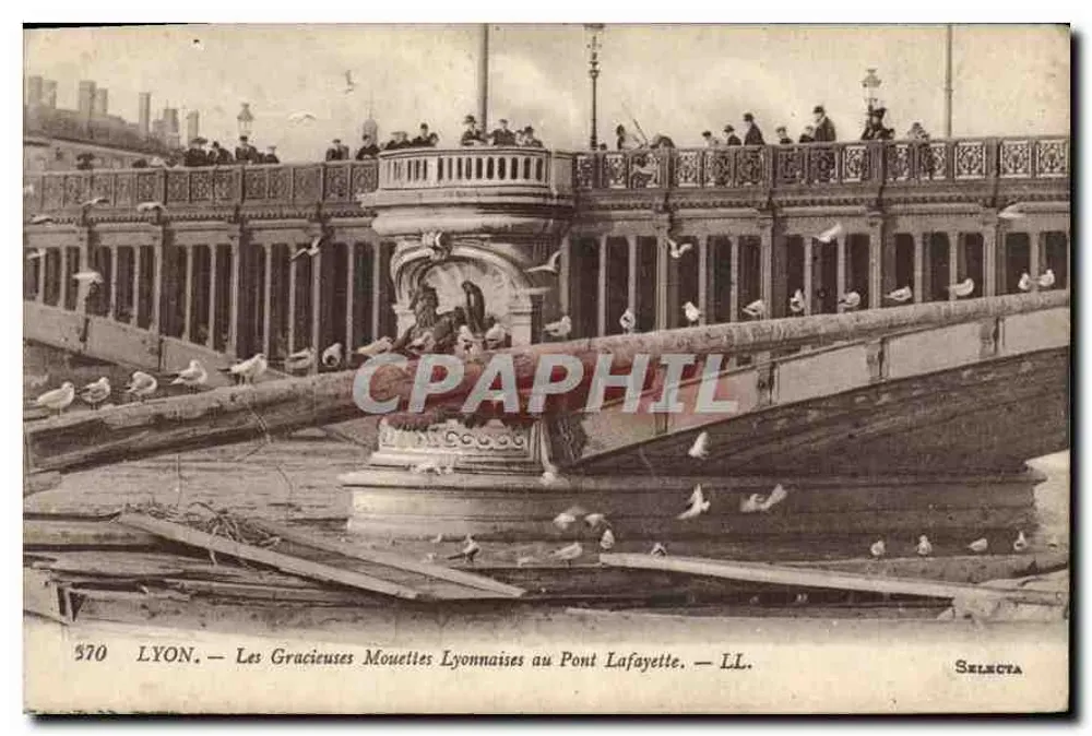 LYON. — Die grazilen Lyon-Möwen am Lafayette-Brücke. — LL. — SELECTA - Vorderseite