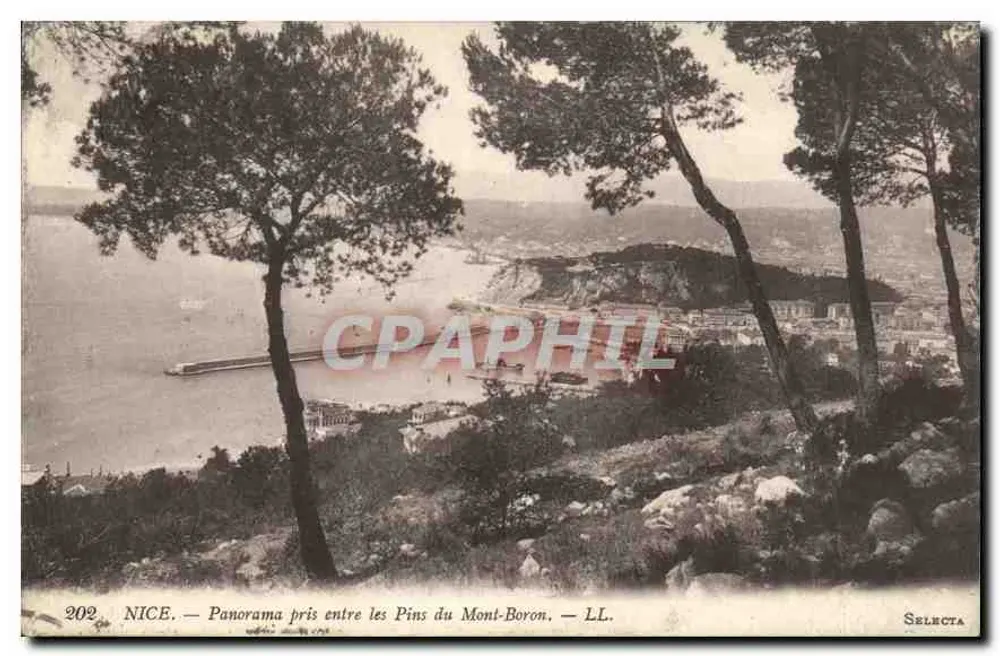 Nizza — Panorama zwischen den Kiefern des Mont-Boron — Selecta, n°202 - Vorderseite