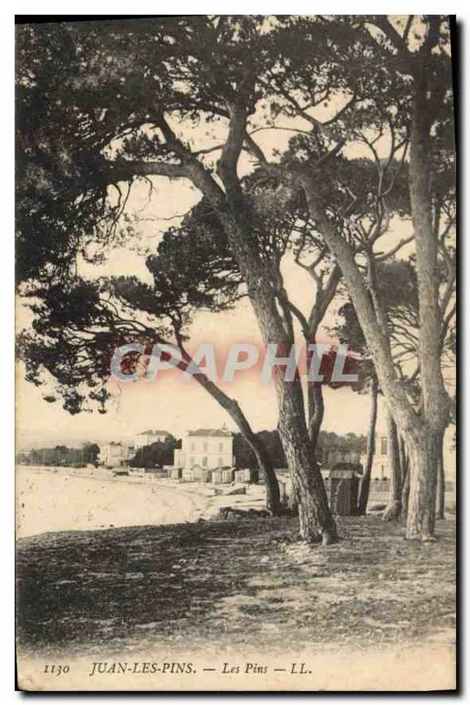Juan-les-Pins — Les Pins — LL. — n° 1130 - Frente