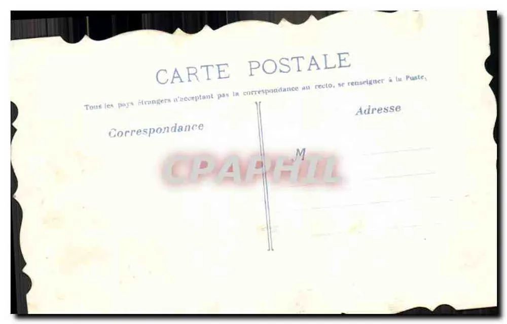 Violetas — ilustração — editor desconhecido - Verso