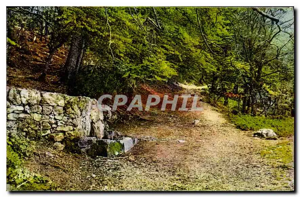 Fonte de Mans - Sainte Baume — Fotocromia, editor La Fontaine de Mans, n°11.396 - Frente