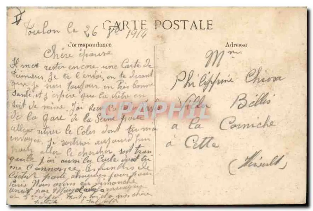 TAMARIS-SUR-MER — Eine Reihe von Palmen — Verleger E.D. n° 2870 - Rückseite