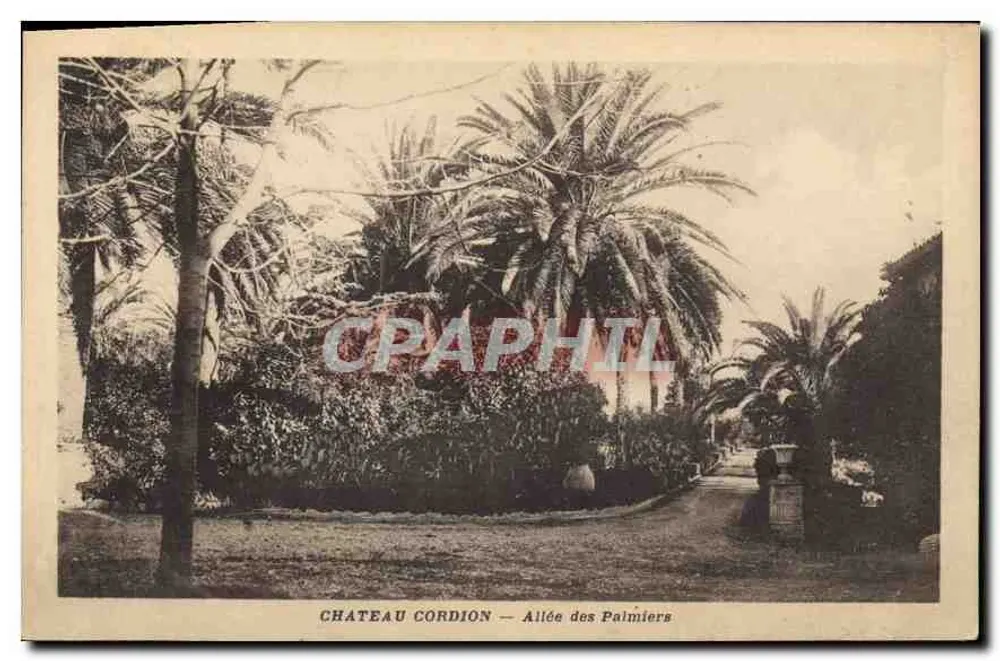 Schloss Cordion — Palmenallee — Verleger: - Vorderseite