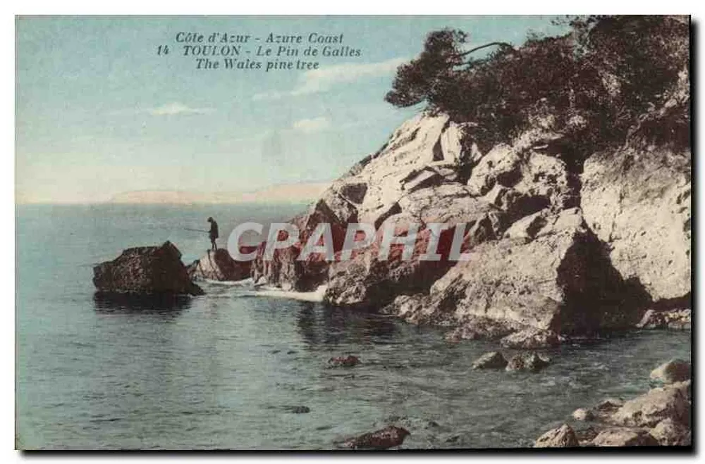 Toulon - Der Pin von Wales — Ansicht der Küste mit einem Fischer auf einem Felsen — unbekannter Verlag, Nr. 14 - Vorderseite