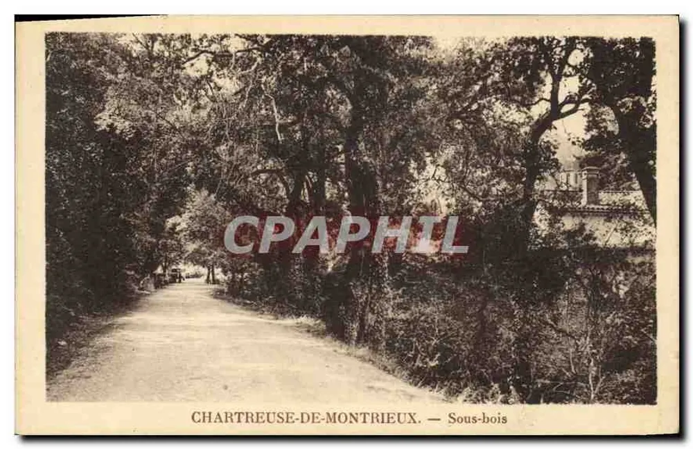Chartreuse-de-Montrieux — Subfloresta — Editor não identificado - Frente