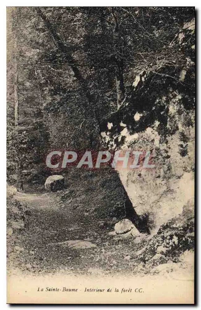 A Sainte-Baume — Interior da floresta CC. - Frente