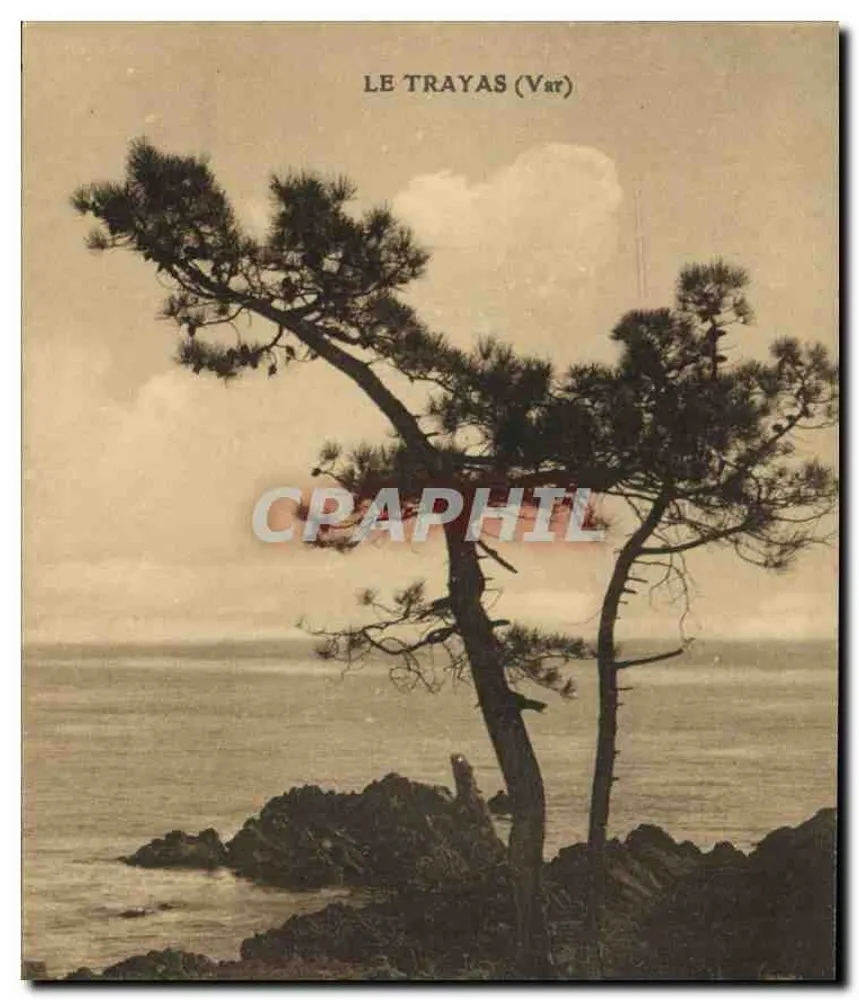 Le Trayas (Var) — paisagem costeira com pinheiro — Ed. Stehein, St-Raphaël - Frente