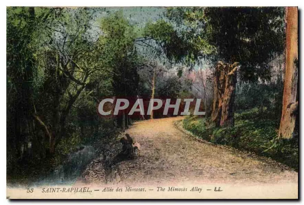 Saint-Raphaël — Avenida das Mimosa — LL - Frente