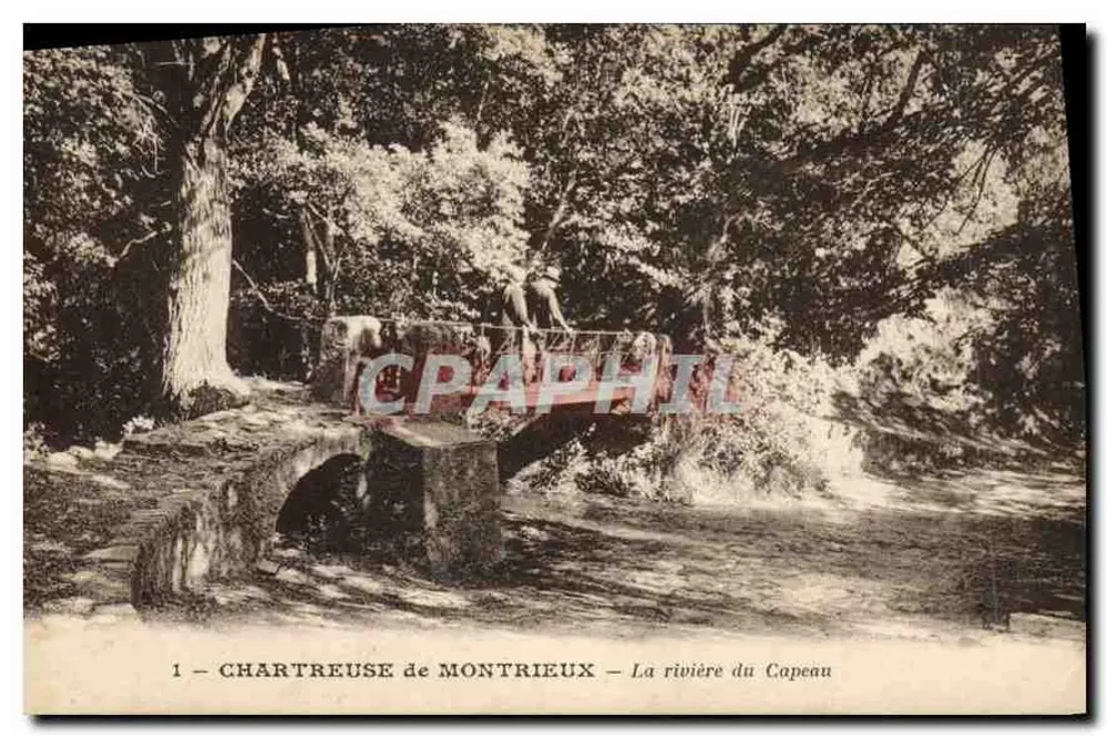 Chartreuse de Montrieux — Der Fluss Capeau — Ausgabe F. Duce & Cie Marseille - Vorderseite