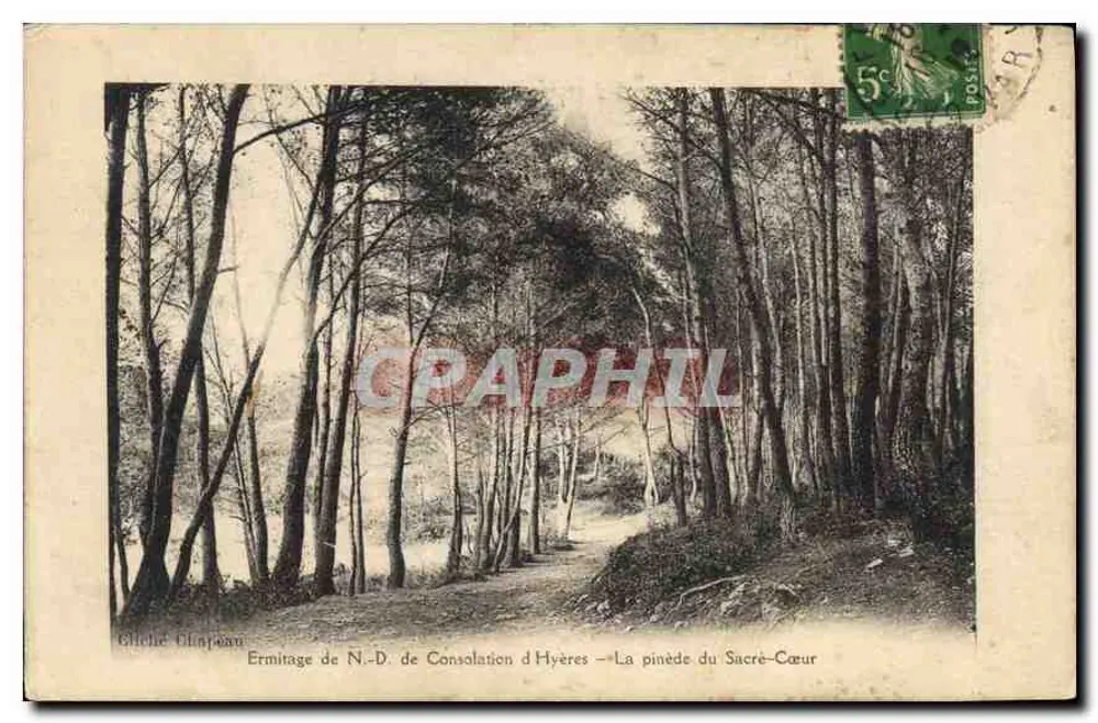 Hermitage Notre-Dame de Consolation in Hyères — Die Pineta des Heiligen Herzens — Gliche Olhapour - Vorderseite