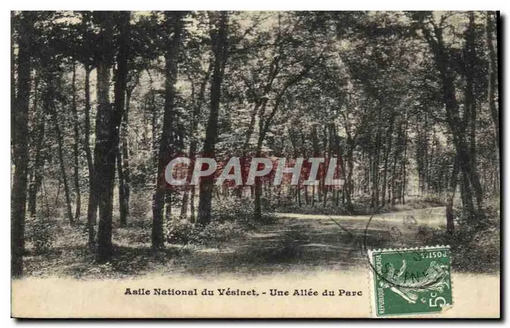 Nationales Asyl von Vésinet - Ein Weg im Park - Vorderseite