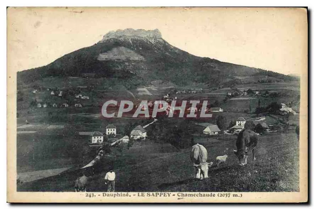 Dauphiné - LE SAPPEY - Chamechaude (2037 m.) — vue panoramique avec vaches et berger, éditeur Mr Bourcier, Grasseble, n° 243 - Frente