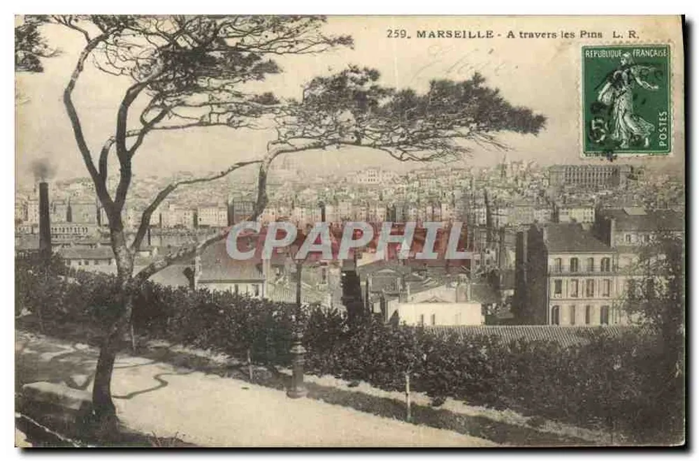 Marseille - À travers les Pins - L. R. n°259 - Frente