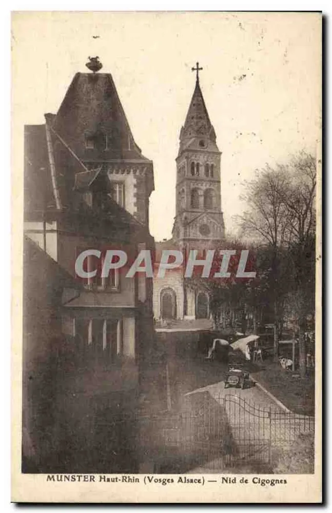 Munster Haut-Rhin (Vosges Alsace) — Storchennest - Vorderseite