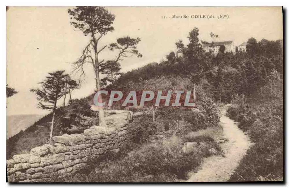 Mont Ste-ODILE (alt. 763m) — vista panorâmica com caminho e muro de pedra — editor não visível - Frente